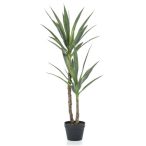 Yucca x2 110cm (műanyag cserépben)
