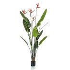 Strelitzia tree 4virággal 150cm (műanyag cserépben)