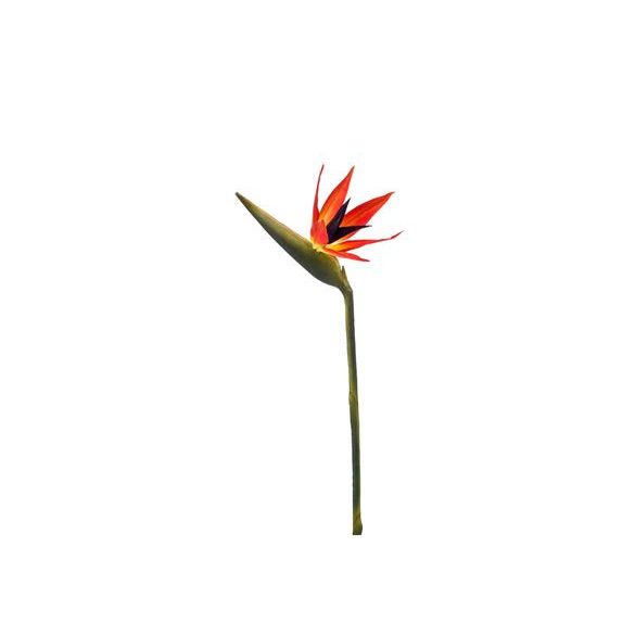 Strelitzia spray 95cm - Narancs