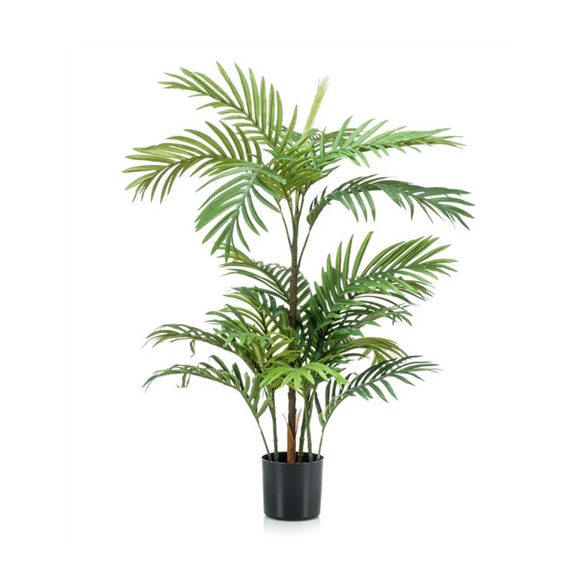 Phoenix palm 90cm / 18 leveles (műanyag cserépben)