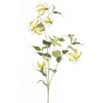 Gloriosa spray 120cm sáraga