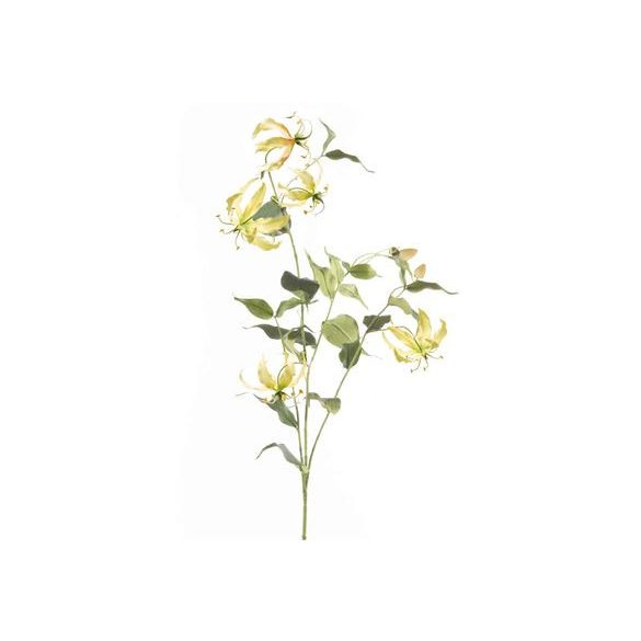 Gloriosa spray 120cm sáraga