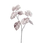 Monstera szál flokkolt 70cm - Barna