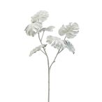 Monstera szál flokkolt 70cm - Fehér