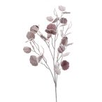 Cissus szál flokkolt 108cm - Barna