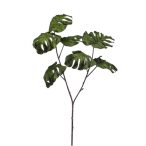 Monstera szál flokkolt 70cm - Zöld