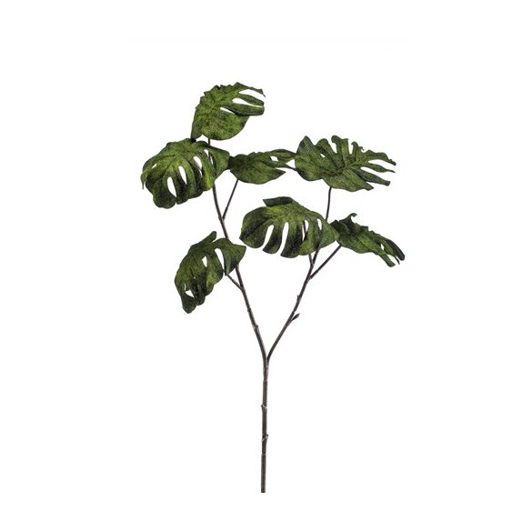 Monstera szál flokkolt 70cm - Zöld