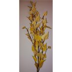 Celosia Spray X2 Red 72cm