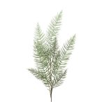 Páfrány szál 115cm - Zöld