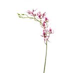 Brassia szál 105cm - Fehér/rózsaszín