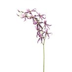 Brassia szál 105cm - lila