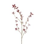 Cotoneaster ág 130cm - Vörös