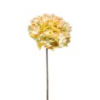 Hydrangea dry stem 48cm - Sárga