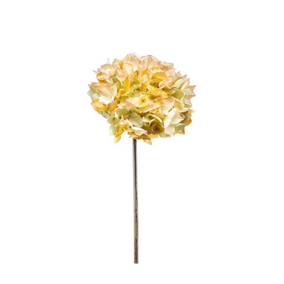 Hydrangea dry stem 48cm - Sárga