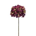 Hydrangea dry stem 48cm - Lila