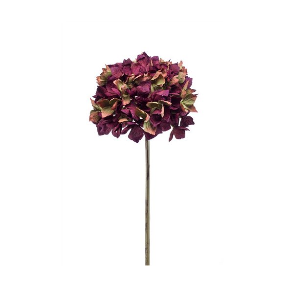 Hydrangea dry stem 48cm - Lila