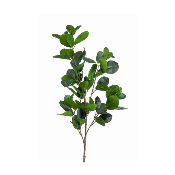 Ficus panda spray green 90cm