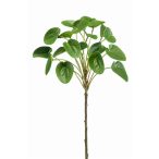 Pilea on stem 50cm - Zöld