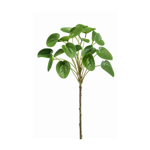 Pilea on stem 50cm - Zöld