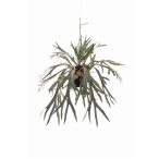 Staghorn fern in flocked moss ball w hanger 90cm