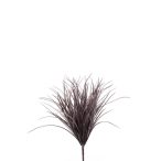 Grass bush plum 50cm