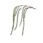 Fenyő csüngő ág x7 135cm - vöröses barna