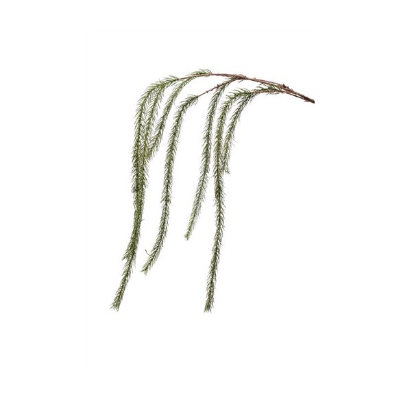 Fenyő csüngő ág x7 135cm - vöröses barna