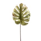 Monstera levél bársony 75cm - Zöld