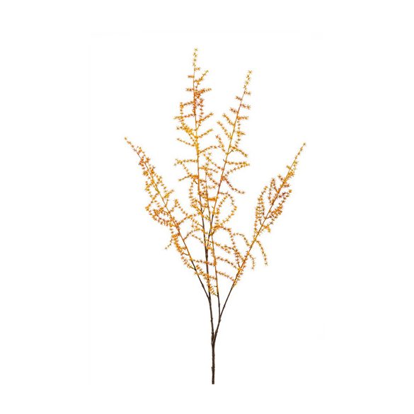 Asparagus spray x5 100cm - Sárga
