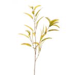 Eucalypthus szál 105cm - Kéttónusú zöld