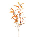 Eucalypthus szál 105cm - Narancssárga