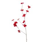 Cosmos mini spray 93cm - Piros