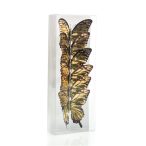 Pillangó 10cm - Arany S/6