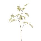 Asparagus spray 125cm - Zöld