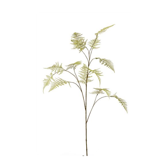 Asparagus spray 125cm - Zöld