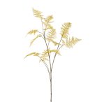 Asparagus spray 125cm - Okker sárga