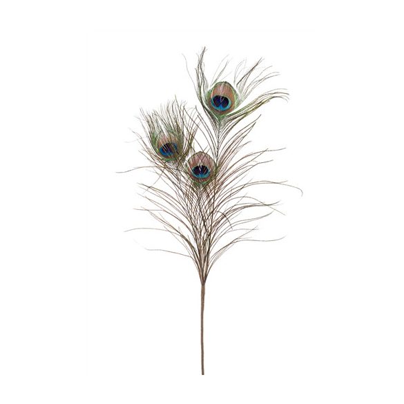 Páva ág 3x 75cm - Zöld / kék