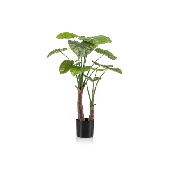 Alocasia fa x2 110cm/14levél (műanyag cserépben)