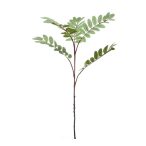 Mahonia ág x5 105cm - Zöld/szürke