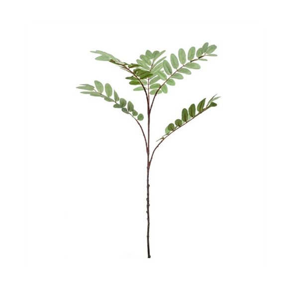 Mahonia ág x5 105cm - Zöld/szürke