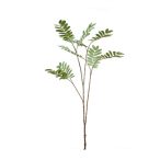 Mahonia ág x10 150cm - Zöld/szürke