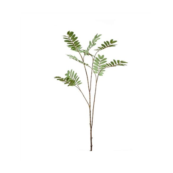 Mahonia ág x10 150cm - Zöld/szürke