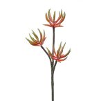 Aloe spray x3 58cm - Narancs/zöld