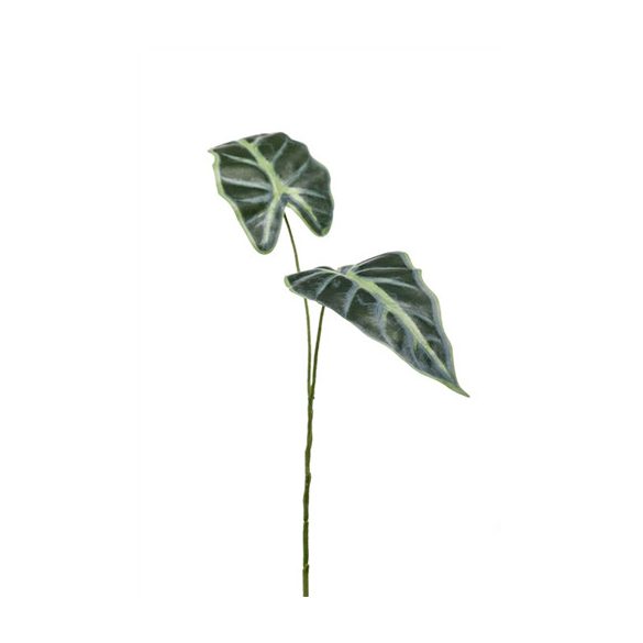 Alocasia levél x2 55cm