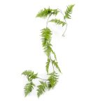 Asparagus girland 150cm - Zöld