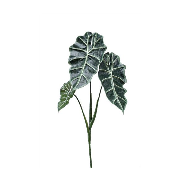 Alocasia szál x3 75cm - Zöld/bordó