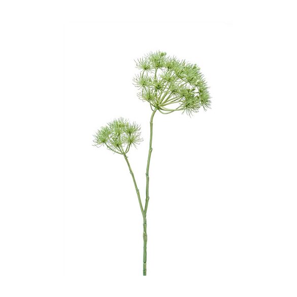 Heracleum ág x2 95cm - Halványzöld