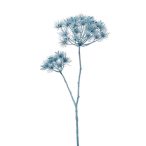 Heracleum ág x2 95cm - Halványkék