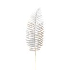 Fern leaf 97cm - Krém