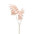 Melianthus spray 95cm - Barack